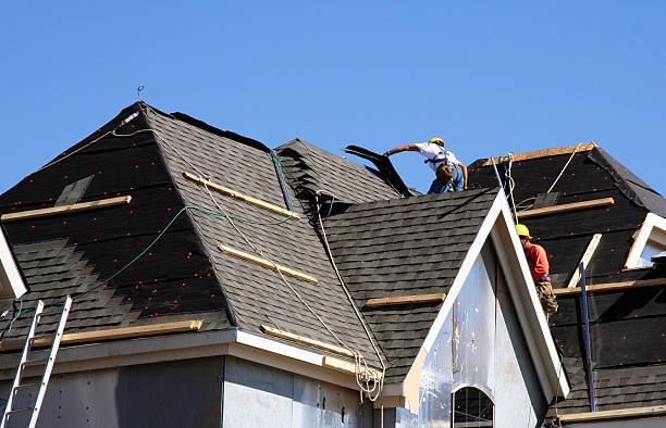 Best Roof Repair Services  in Janesville, MN
