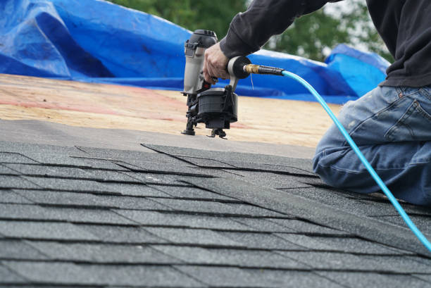 Best Roof Leak Repair  in Janesville, MN