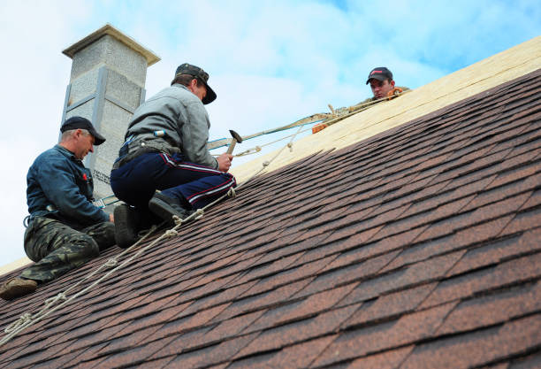 Best Roof Inspection Near Me  in Janesville, MN