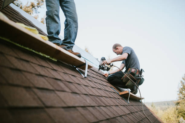 Quick and Trustworthy Emergency Roof Repair Services in Janesville, MN