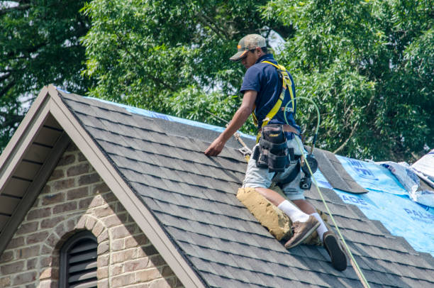 Best Roof Replacement Cost  in Janesville, MN
