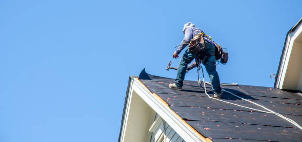 Best Roof Maintenance Services  in Janesville, MN