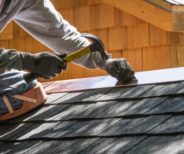Best Roof Restoration Services  in Janesville, MN